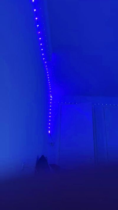 BadPatrick98's Profile