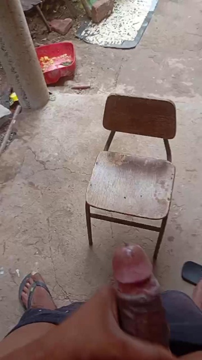 Comedorpiaui snapshot