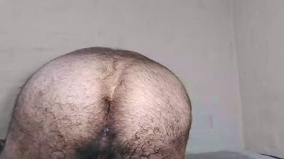 DiePeludoMorbo snapshot