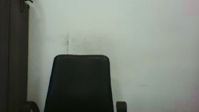 GatoCampinas79 snapshot