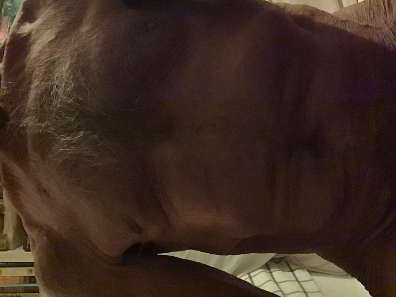 GeeGeeQ Profile Image