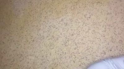 JuleBonenfant snapshot