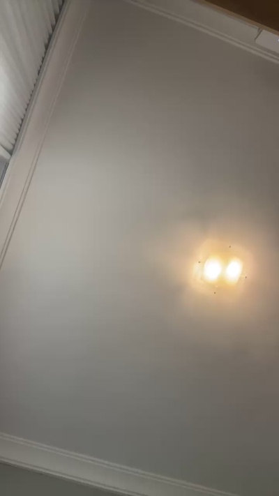 Juujuferrari's Profile