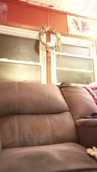 LoneBBW420's Profile