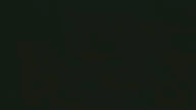 Loup31loup31 snapshot