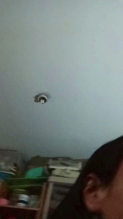 PerfidaCareote snapshot