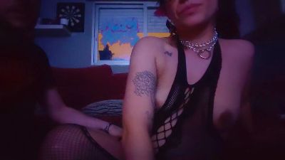 Perikopalotes91 snapshot