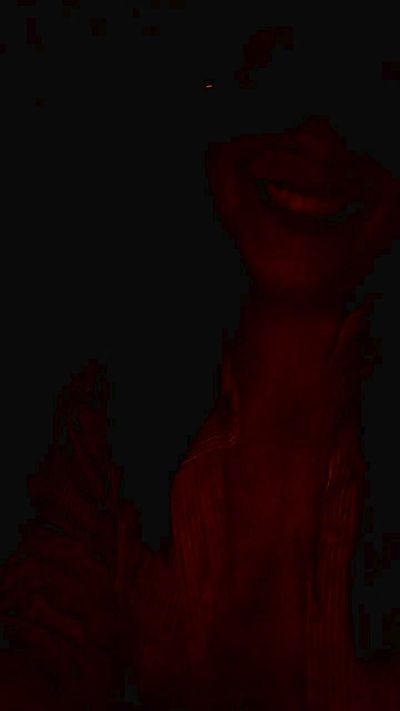 Velmoramoon snapshot