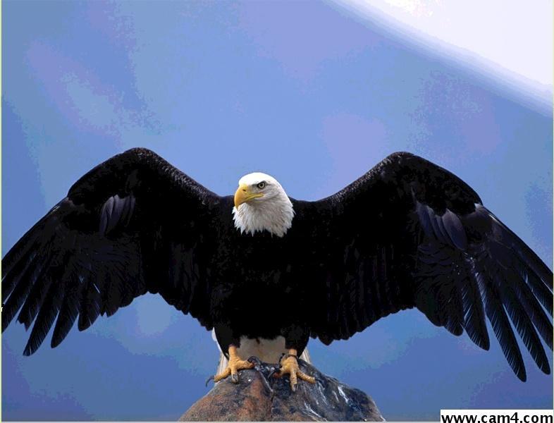 aquila69w snapshot