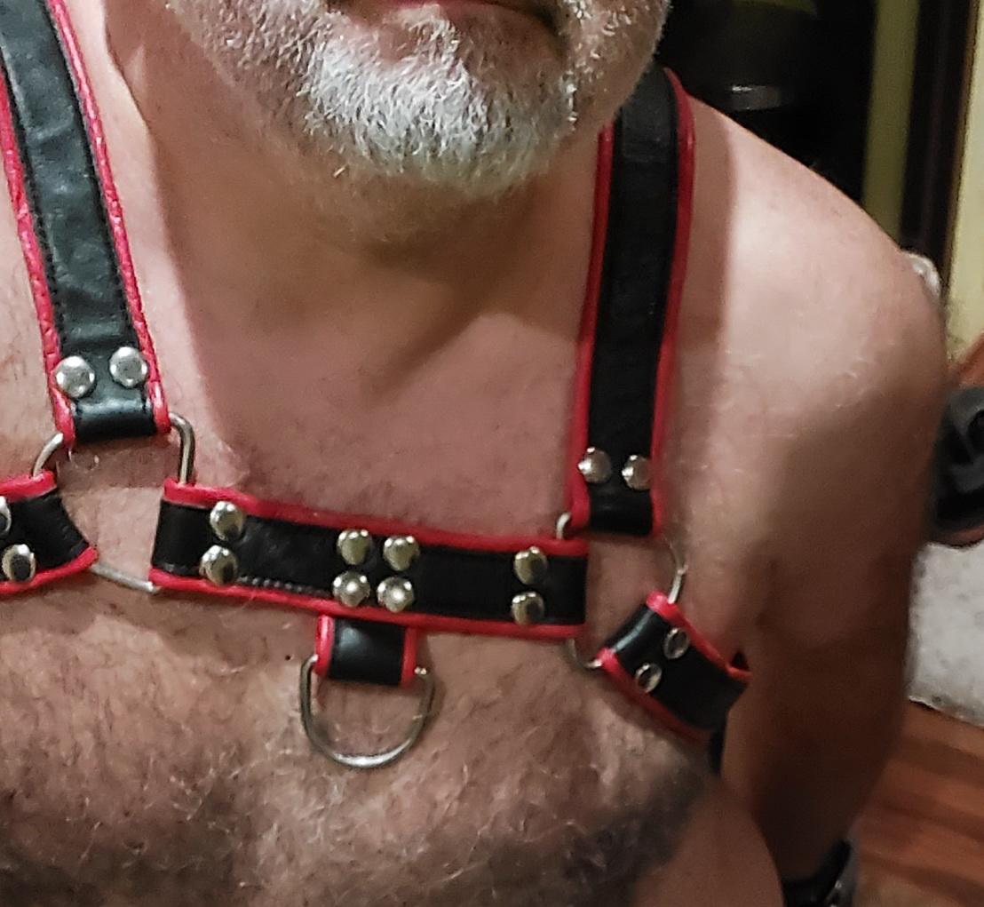 baer51's Profile