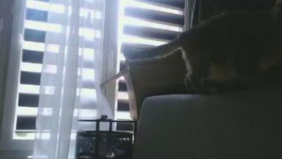 billytis's Profile