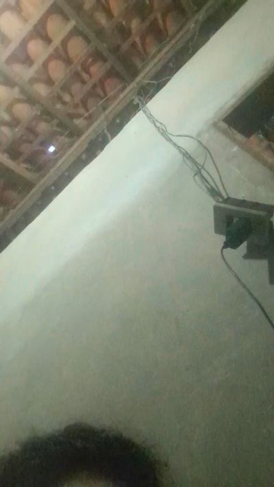 capetinha1821 snapshot