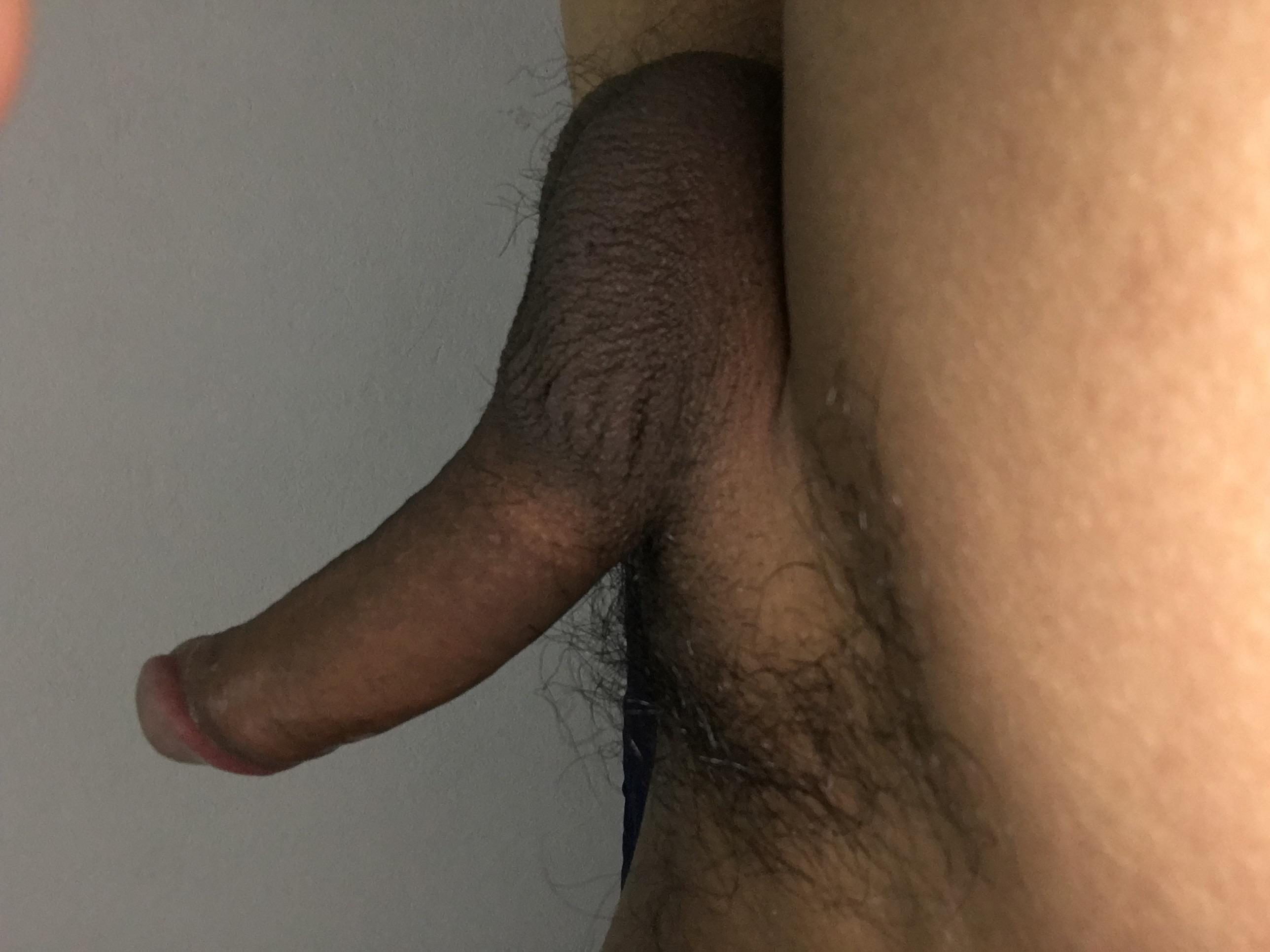 elver146's Profile