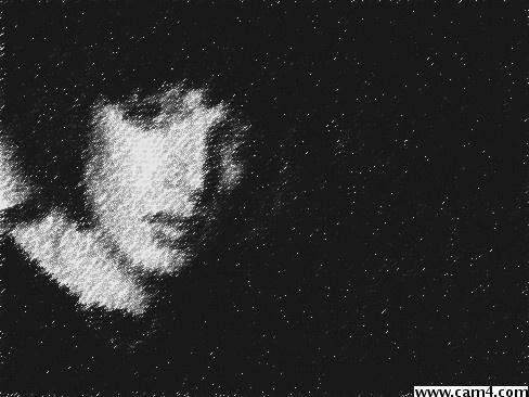 gina62's Profile