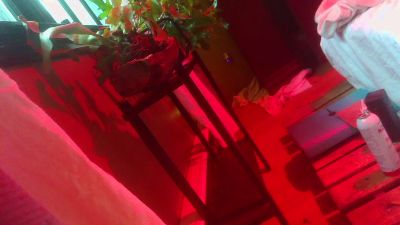 hungyoungspunn snapshot