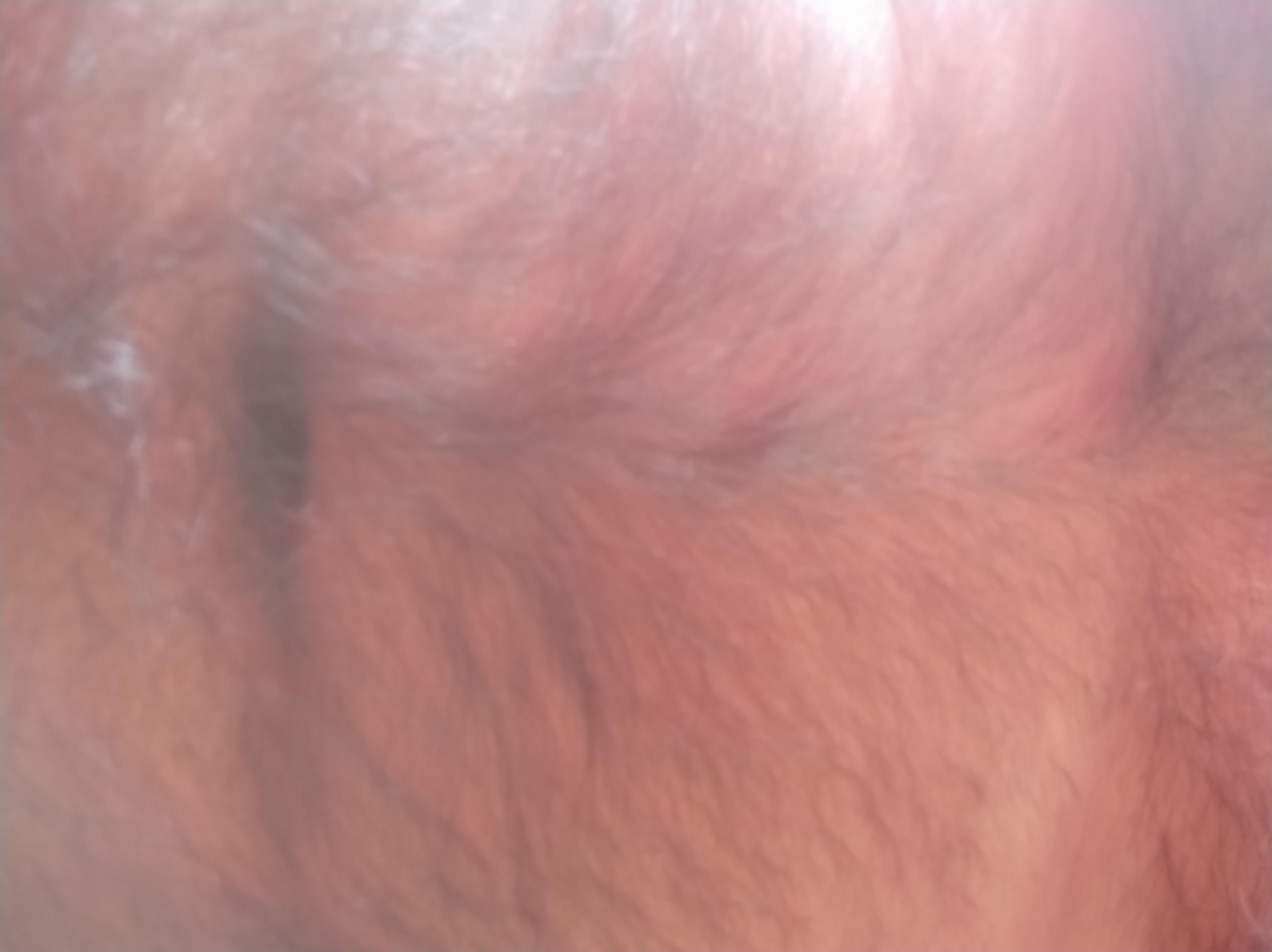 leviatan_hot's Profile