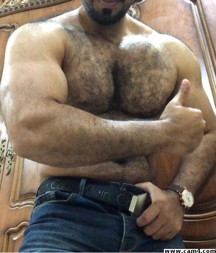 muscleqatar's Profile