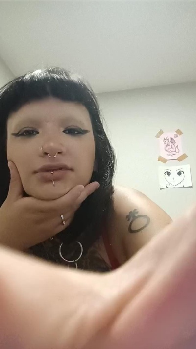 peekaboomuz snapshot