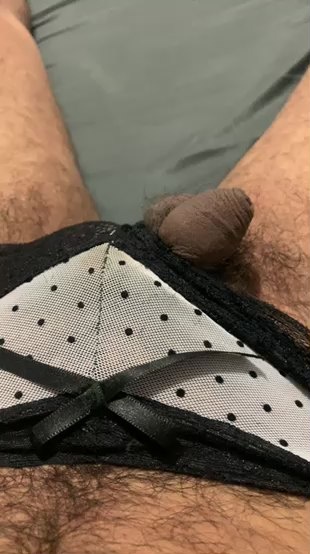 penepequno1 snapshot