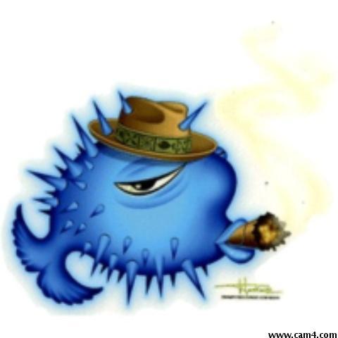 pufferphish's Profile