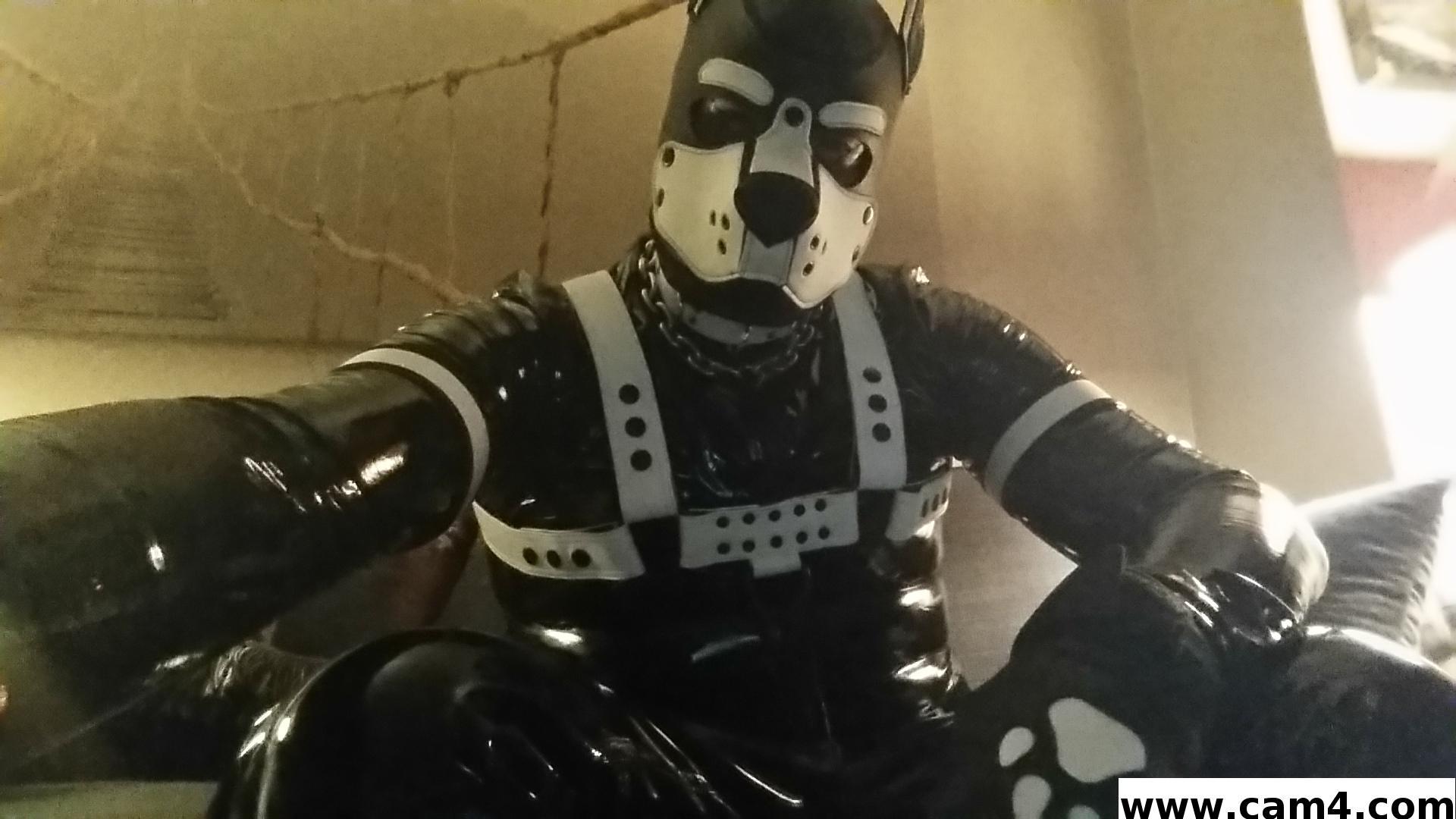 rubberfly snapshot