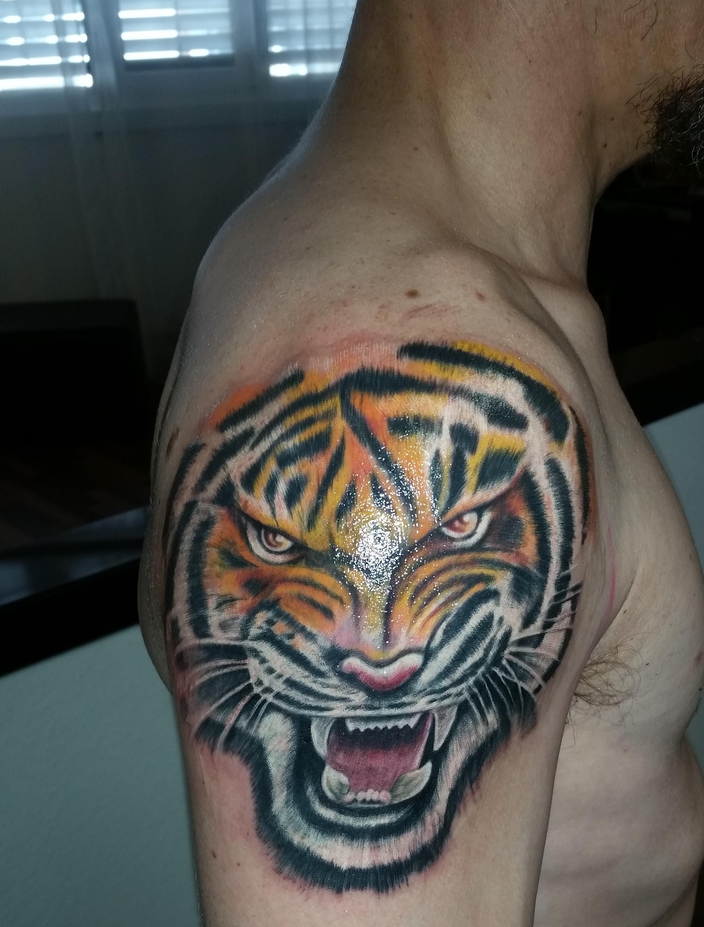 tiger265's Profile
